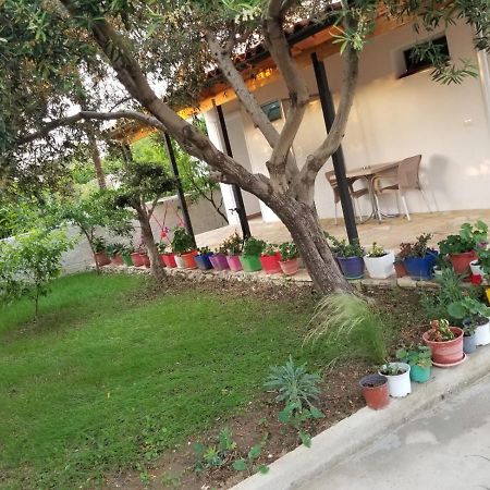 Vlorë Vila Sita מראה חיצוני תמונה